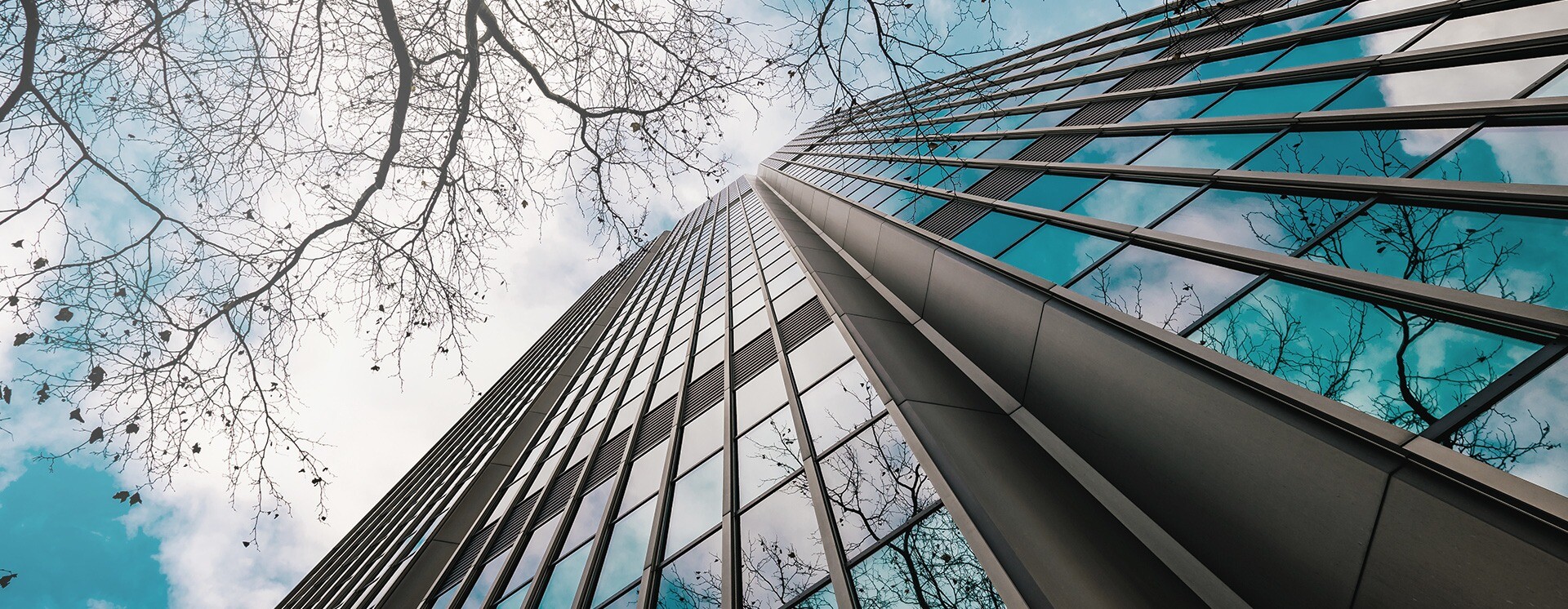 Atención personalizada, disponibilidad permanente y una práctica legal destacada y proactiva